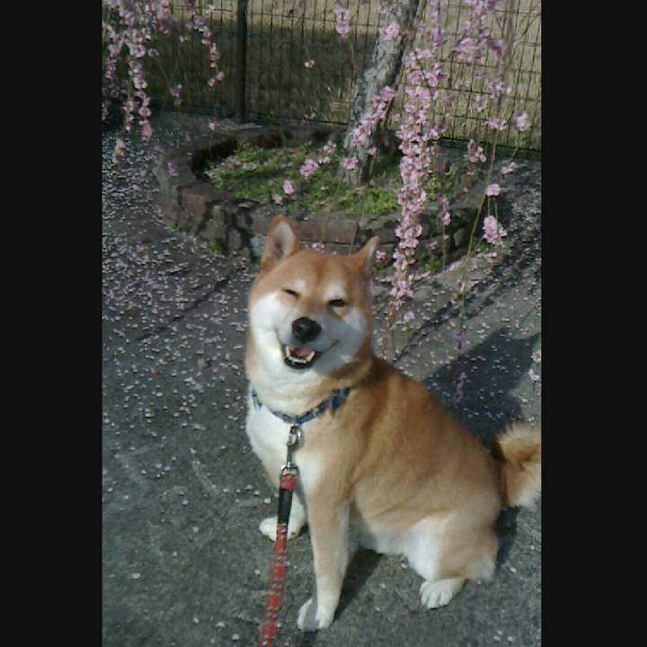 F387dd08 f25e 4d77 a590 5a59ebc8ce68 1521341353860