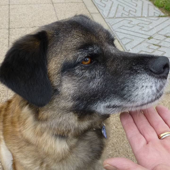 F3882358 13ef 4975 a3d9 dc4cd397fe7a 1578702173951