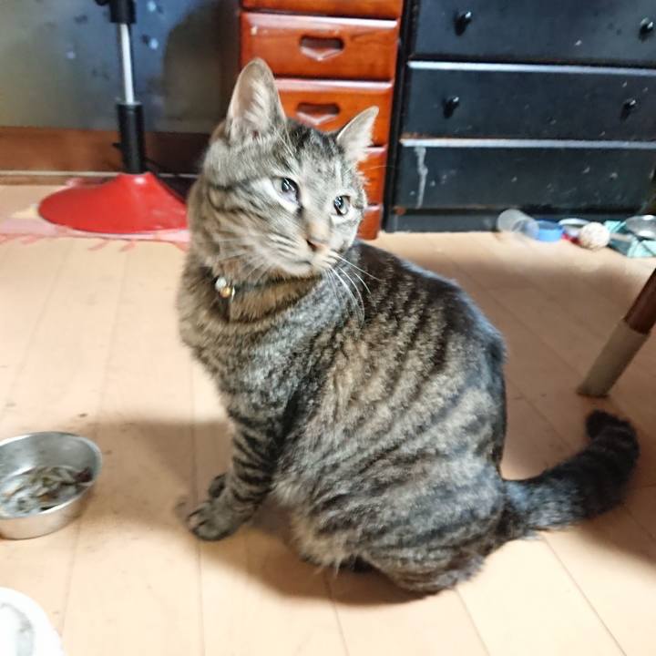 F3882f6d 5143 4933 a478 a78f55b266a3 1648587789885