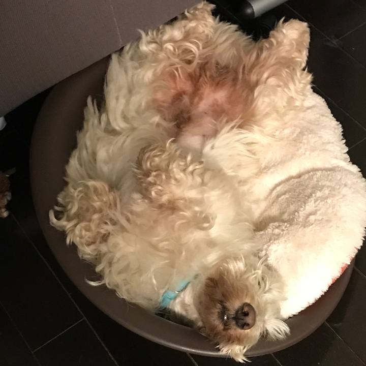 F38859e4 79db 4767 b59a cc33d8543f09 1528129693791