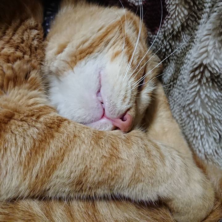 F3885e81 a431 469f bda9 f2da8786d51e 1646398014710