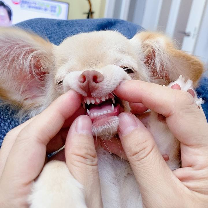 F388a844 9f09 4390 8677 37a88fec2202 1596690684158