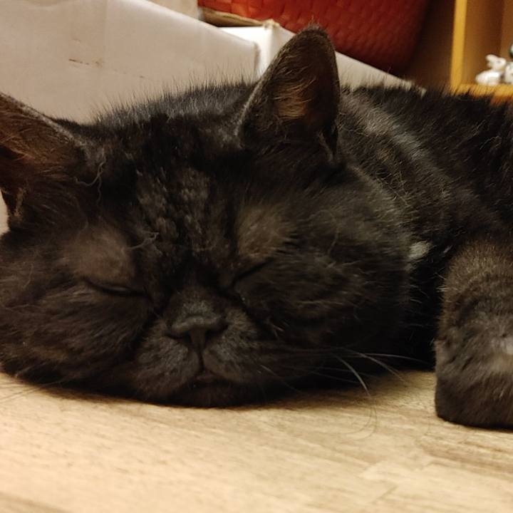 F388b35c c887 424a adab d4af4471026a 1624276305435