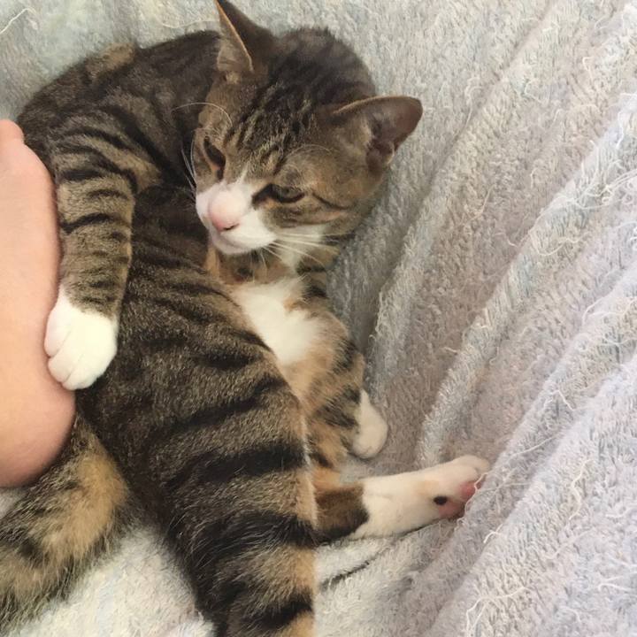 F389022e c0ba 40ce a1a6 826a49d4542c 1668169580013