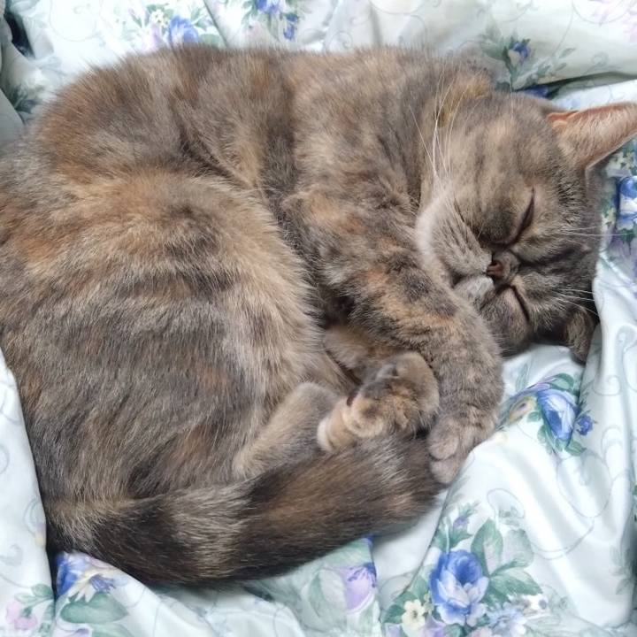 F3891c91 baa4 4f4f 856f ed091af83435 1762599462804