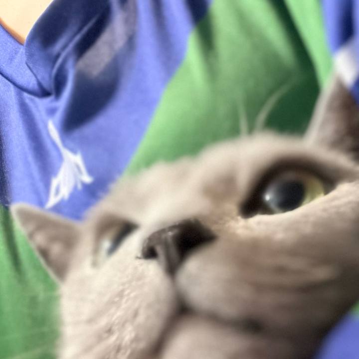 F38939ed 4811 4553 87d5 227152bea4a6 1749564777715