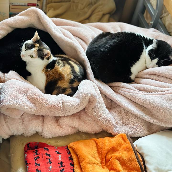 F3898778 649d 4e59 b54e fa97382fd9ff 1681868460316