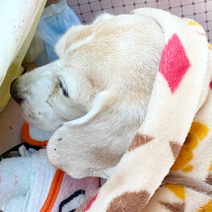 F3899f3c 85f0 4361 a1af 3277fb8af3c5 1671510025788