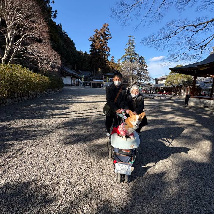 F389b0c1 c534 4c01 9447 b4de835428d9 1769326976566