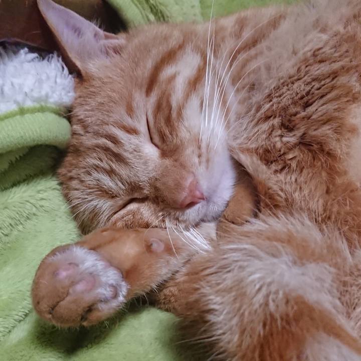 F38a9986 d247 4f50 a1fa 1d6cbead28fe 1655508567398