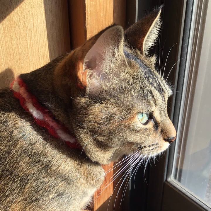 F38aa376 ee77 4b62 a9c6 402d91dc38b6 1606109851466