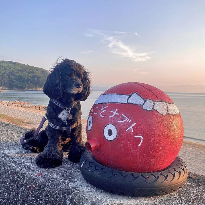 F38ad7aa 84e0 4654 a916 0945697784f8 1664704676897