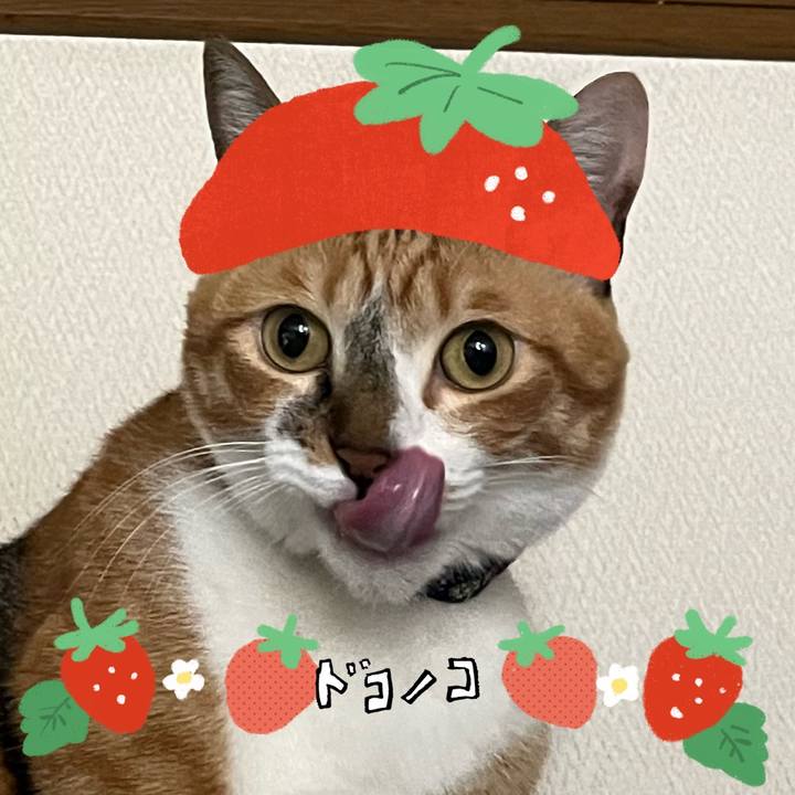 F38ad995 0033 4c6b 886a cd1f56cf388b 1775380018932