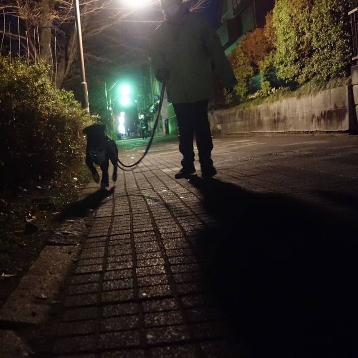 F38af74f 54fa 44cc 8478 4b1ceb82ef7d 1610361310915