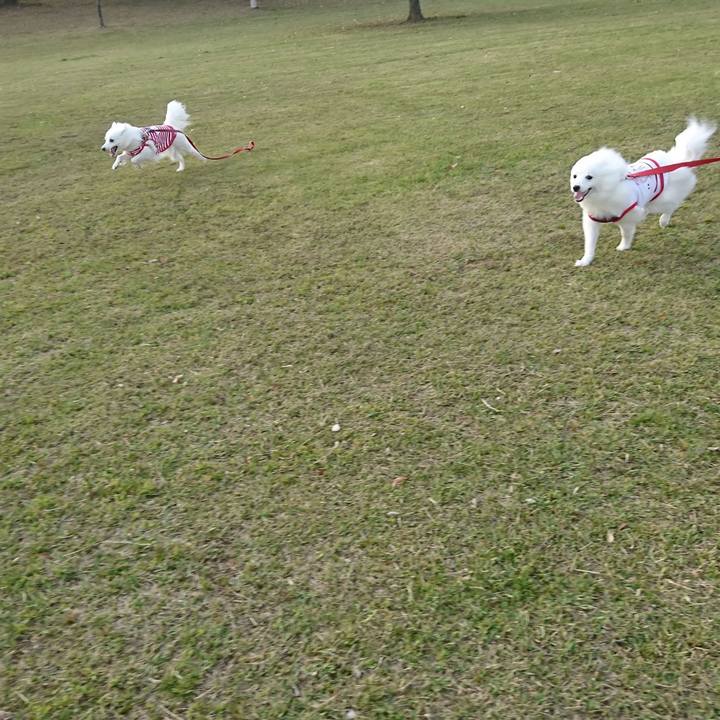 F38b35b8 d7e6 4062 b9a3 0115807d21c5 1555833849575