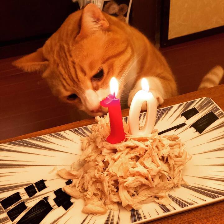 F38b382a db79 455b b078 8c688786057a 1546092157663