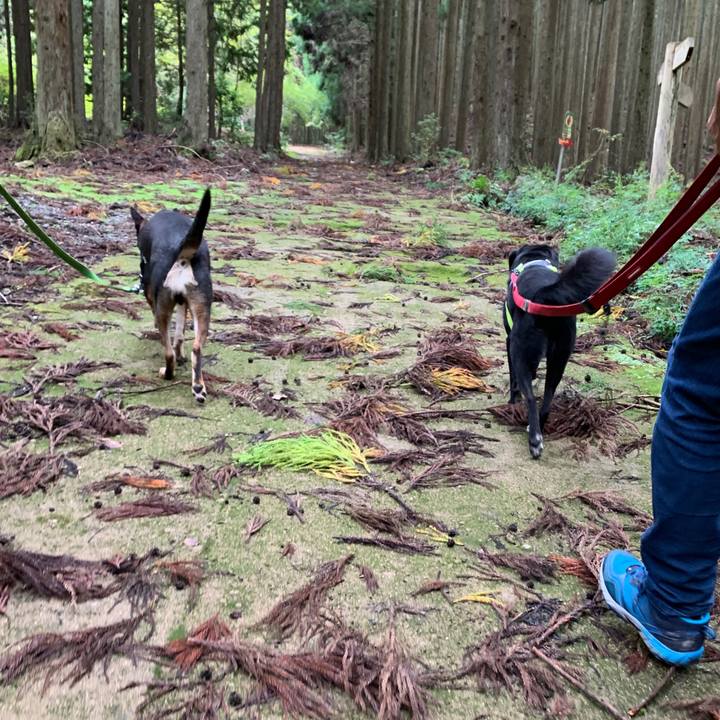 F38b6ed1 7125 48ad ba3f cc62201444ca 1571554229866