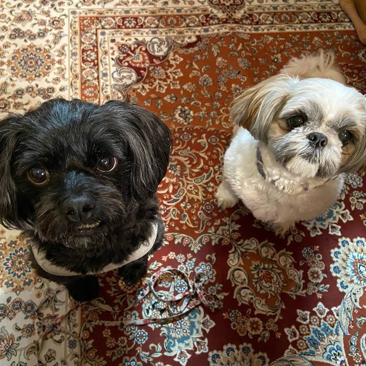 F38b8174 5e67 42d5 aad9 e623c41bdd8d 1669599282186