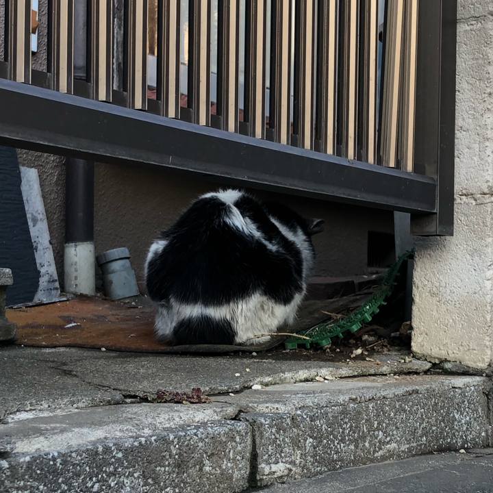 F38b990e ed07 402d adc9 0d11d914c55c 1646733249205