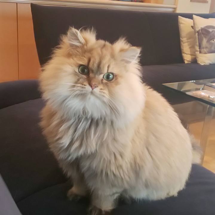 F38bd139 8c3c 4c4b b6a7 65a74808f872 1576555349218