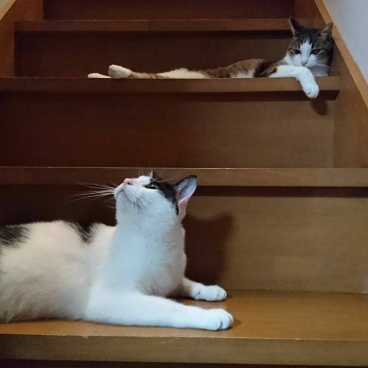 F38c6bd5 3ef0 4fd9 9993 727a56600b02 1518864926894