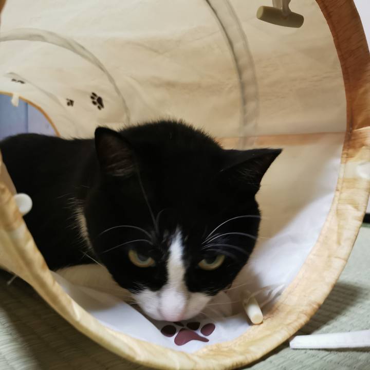 F38cbebf 5f40 47c0 b18e 2071305853bb 1658374050424