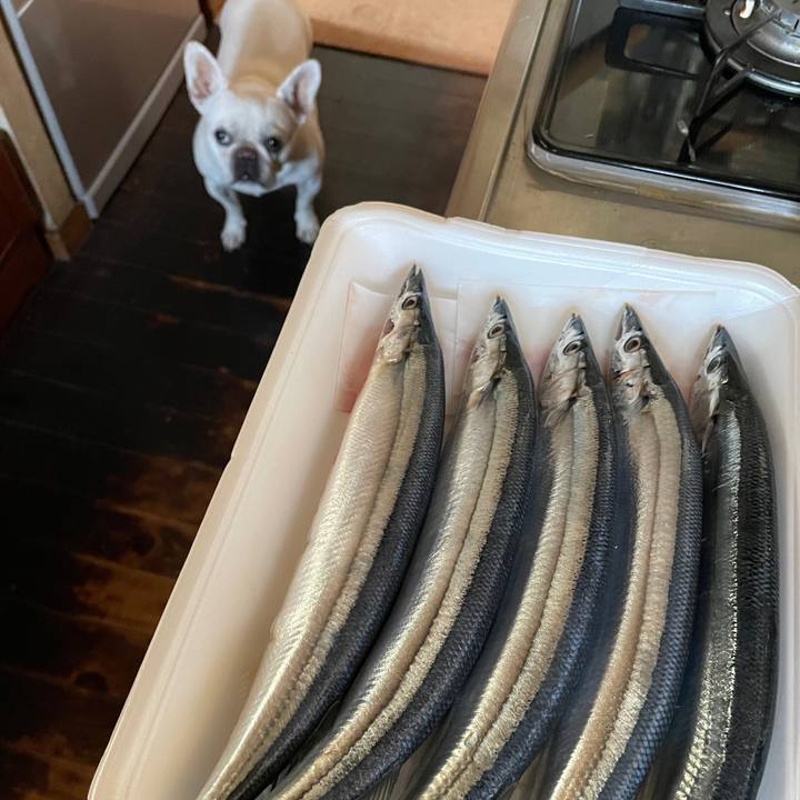 F38cc293 366d 468e 9aad 9957fae9c141 1756594882112