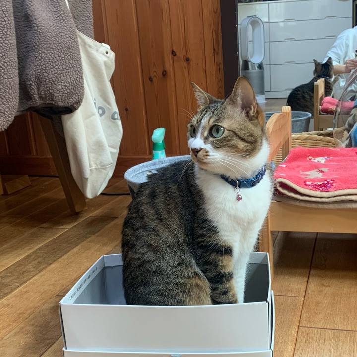 F38d0c96 d038 4a5a 8c50 5aeafc867339 1583672937139