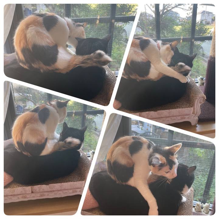 F38d1a3f 0e35 4393 8389 ecc17f70bb58 1697148730320