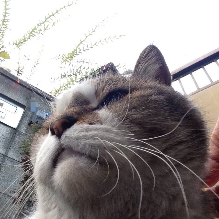 F38db24e b46b 4c13 9e3b d1e2425ef8b6 1513181703430