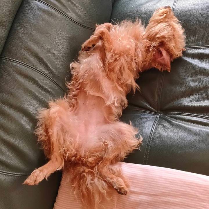 F38dc7d3 b710 42e9 b865 505eba9a13a3 1692707877255