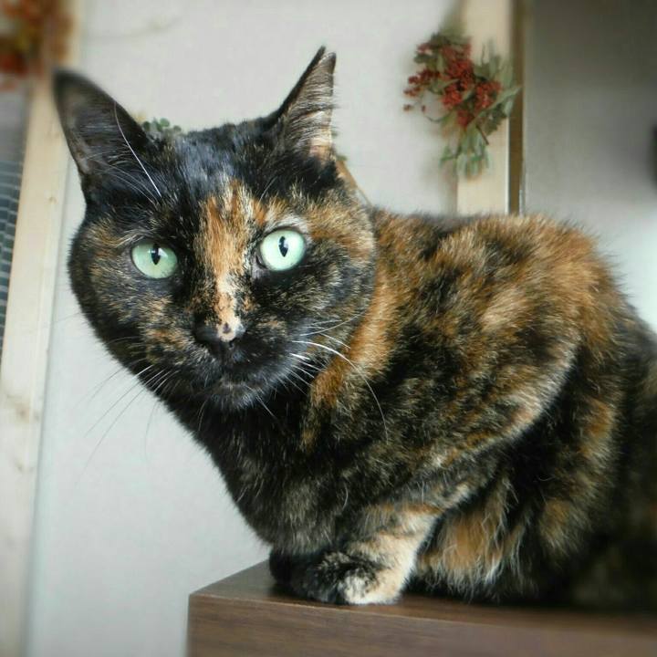 F38e144b 699b 433a bf59 00d409bb610e 1525842684740