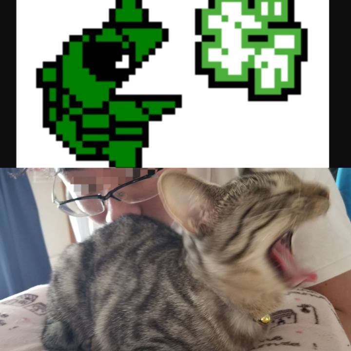 F38e1f90 b866 419a 9c40 35b99a2390a2 1677667298438