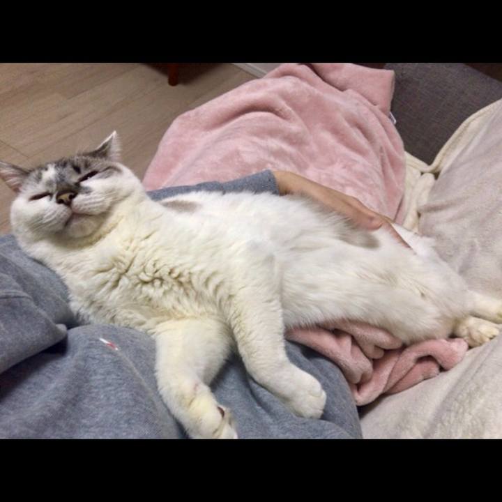 F38e6c20 0697 4647 83ce 1a3e95a13ccf 1550401449271