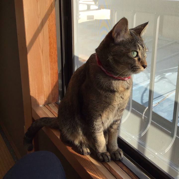 F38e955b da26 4883 b7f9 8b70cba7c0da 1606358198778