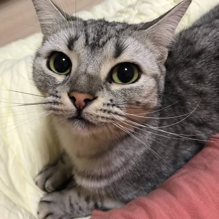 F38e9672 2537 43df 9e85 d2707fc9e404 1543242946102