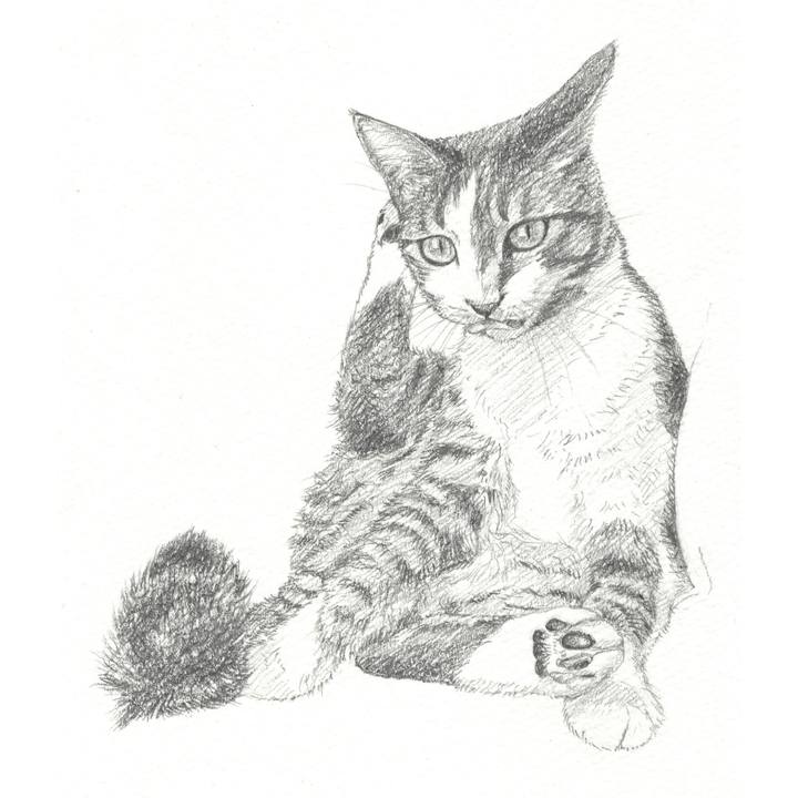 F38ea1fc 2404 41cd 8700 c67a17d77ff6 1544794729400