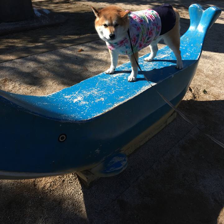 F38ec3aa c313 49d6 916d 1388ff816dac 1572921005794