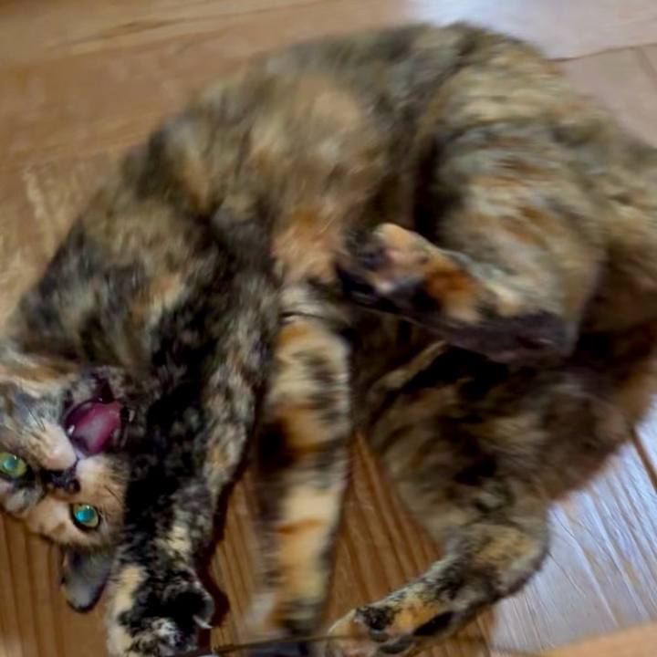 F38ed063 ca5e 4272 9d6f 04b38b7fe915 1768768371808