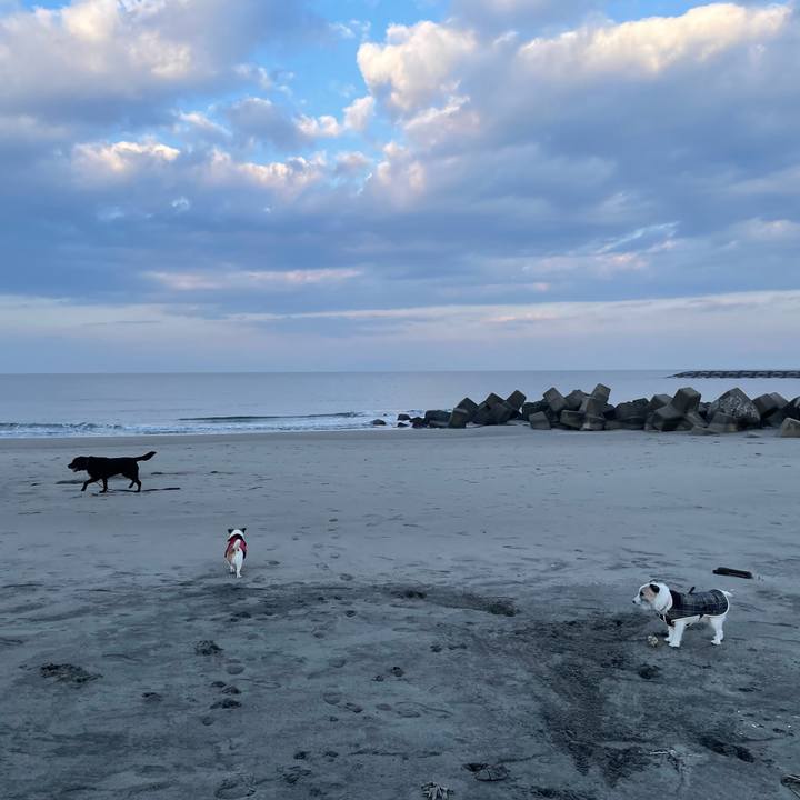 F38edfe8 07ca 4da9 b159 7425405e6a05 1737415877415