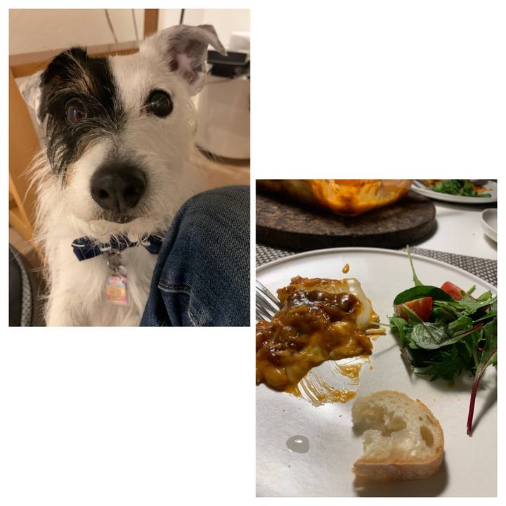 F38eecd0 c586 4290 b7db 9a09968e96d1 1650448249255