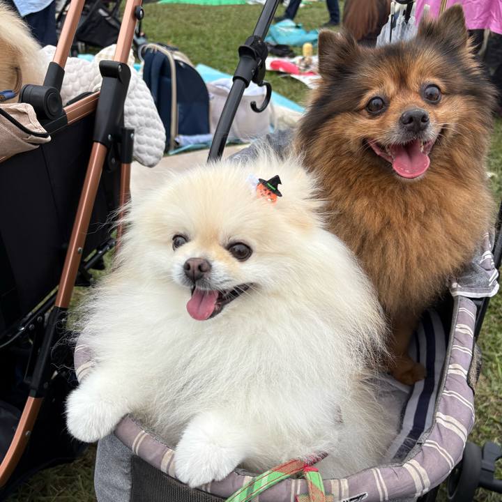 F38f2078 7564 4e30 899b 0ed3780598de 1760359034119