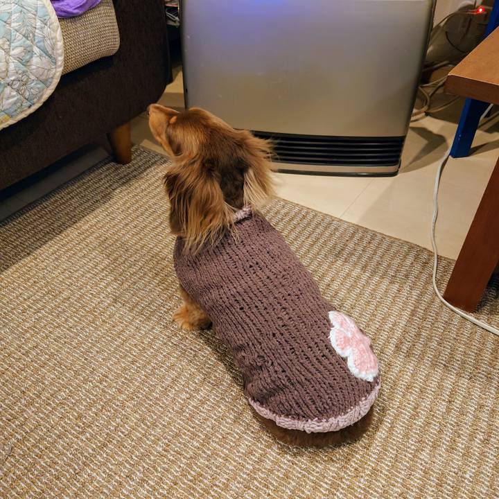 F38f2bda 7d2f 4b09 9aac d098bb115fdb 1706432040463