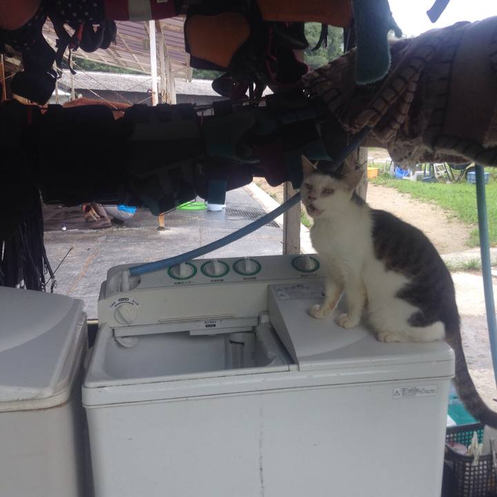 F38f4914 43b0 42ab 904c d38a4e68ab77 1565737559490