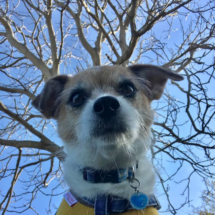 F38f4a75 ac85 4373 aed8 35b9213b9374 1607052620154