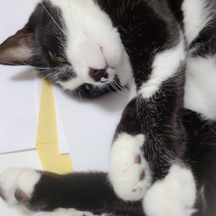 F38f756e 71aa 4bf5 bcce 5f58174799cd 1653061901401