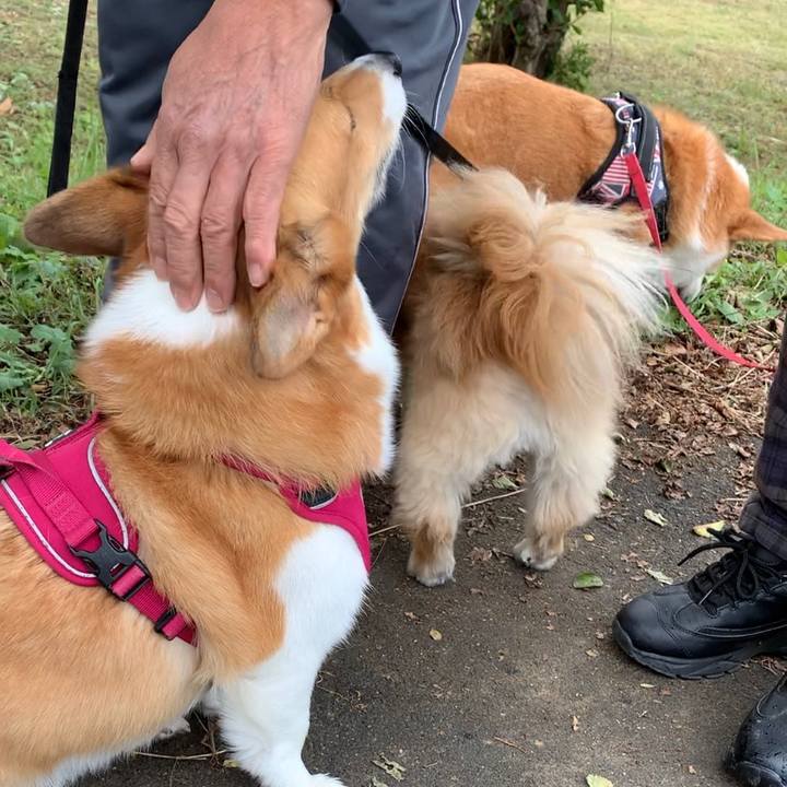 F38fad5c 8dd0 43df 8225 8451117f76a9 1635303803406