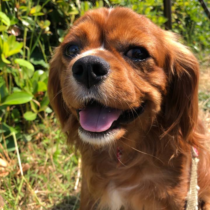 F38fce35 a327 4083 a150 253c843b30f5 1558760666972