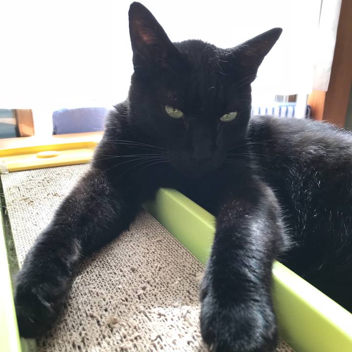 F3900aa1 e100 4163 857a ba5e13aff274 1533688134822