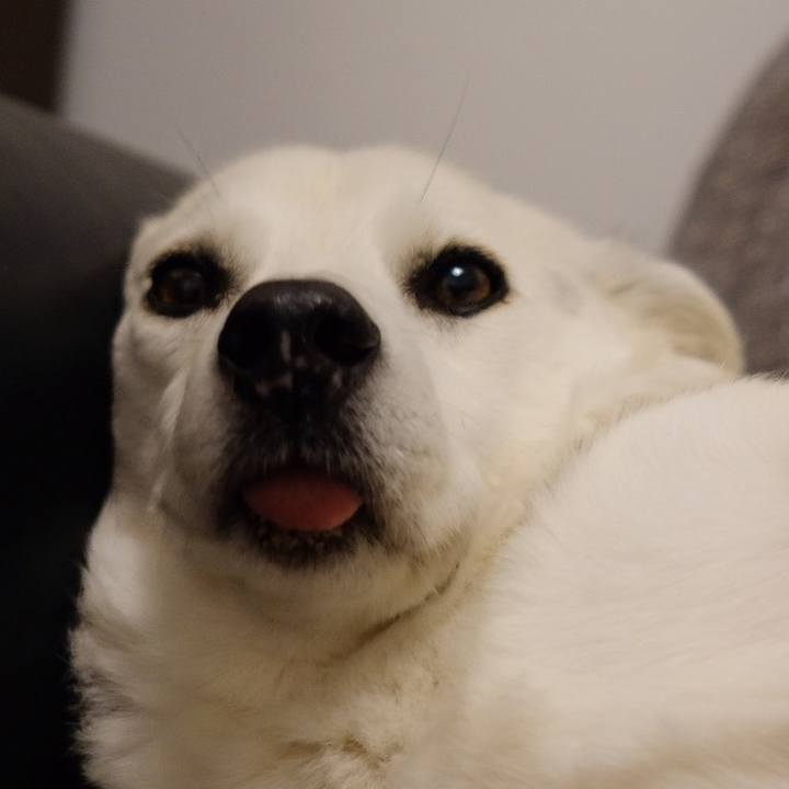 F39019ab 2fe7 4084 b95a ceee9285216e 1638964653372